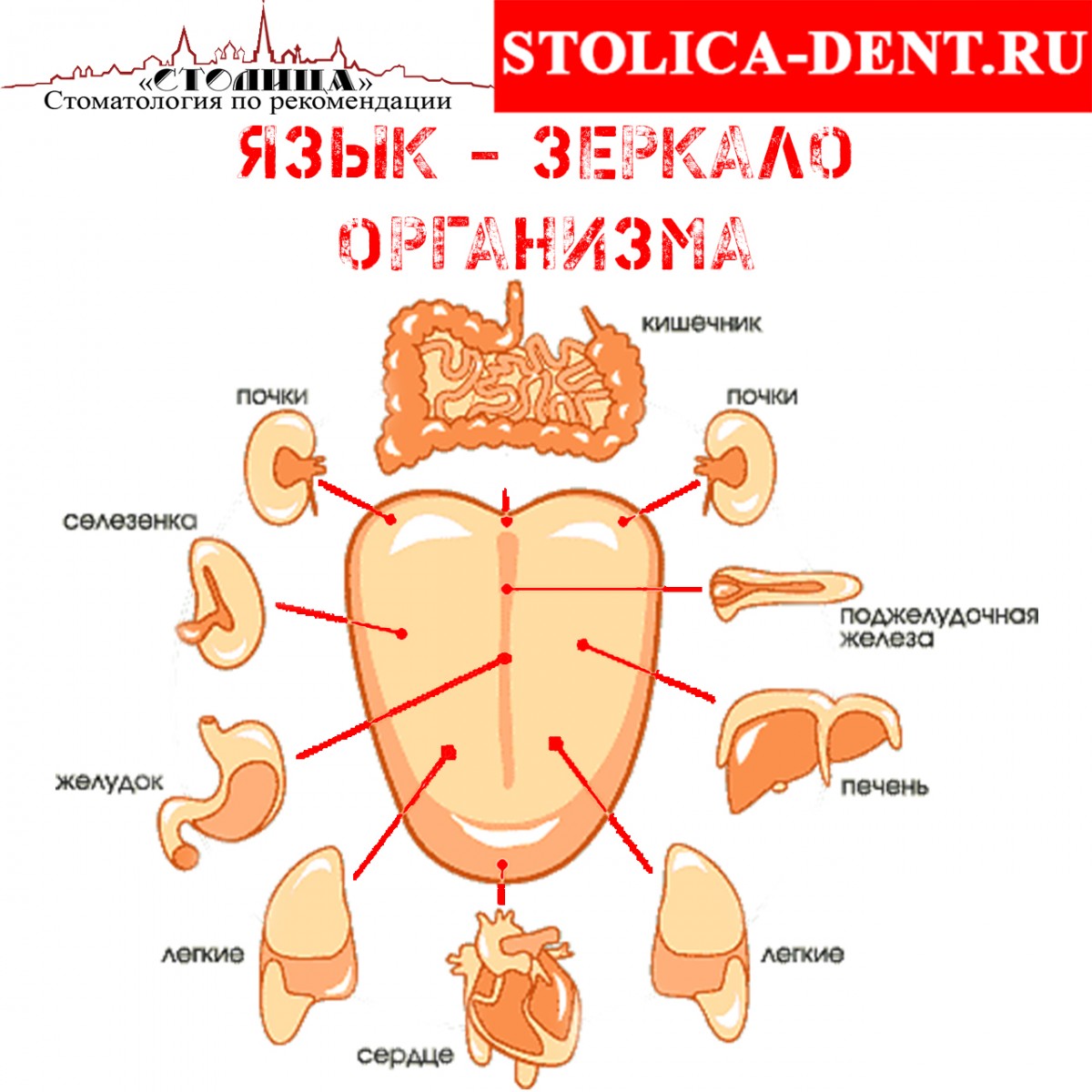 Складчатый язык: что это такое и как лечить?